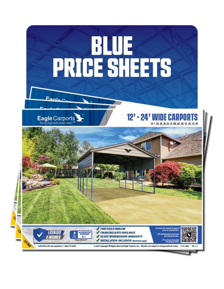 Blue Price Book & Flyers