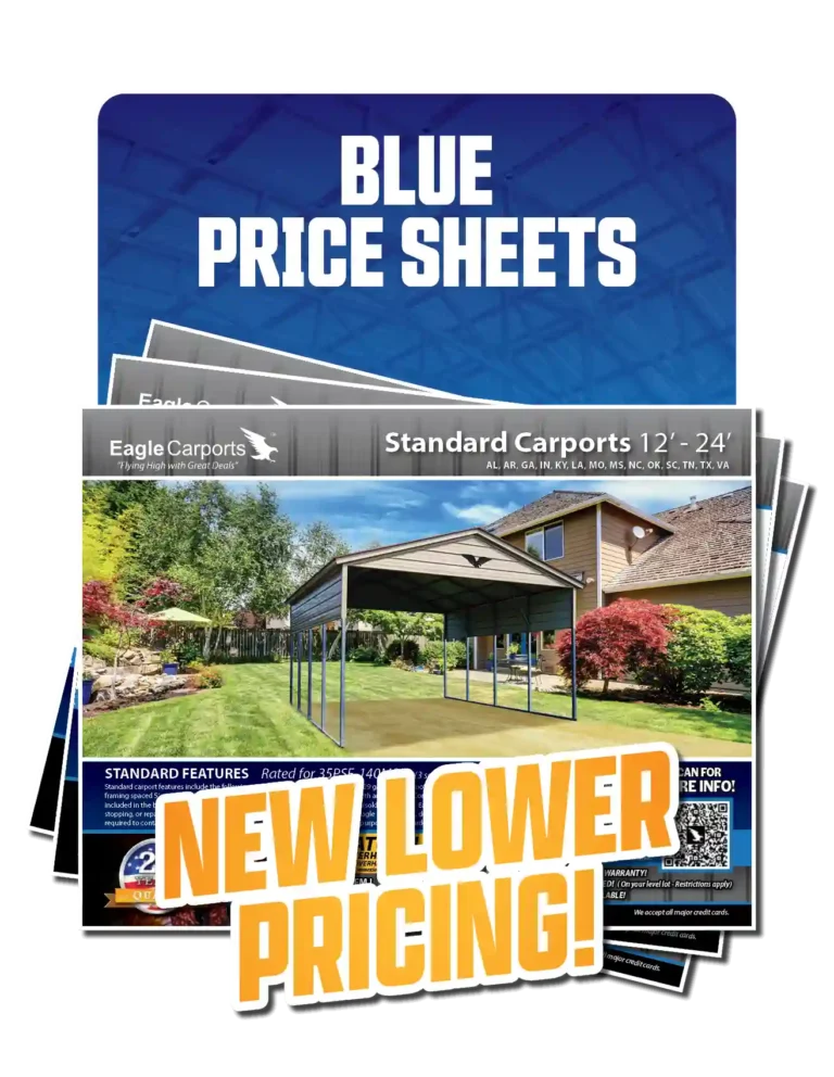 Blue Price Book & Flyers